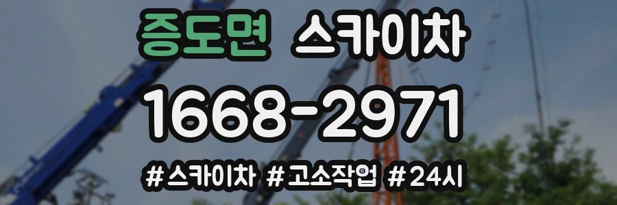 증도면 스카이차