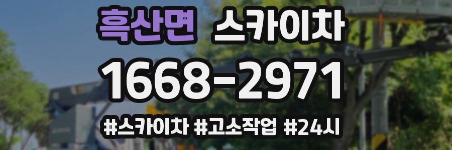 흑산면 스카이차