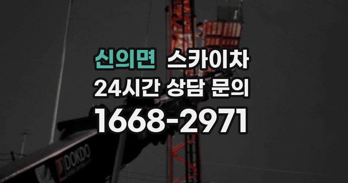 신의면 스카이차