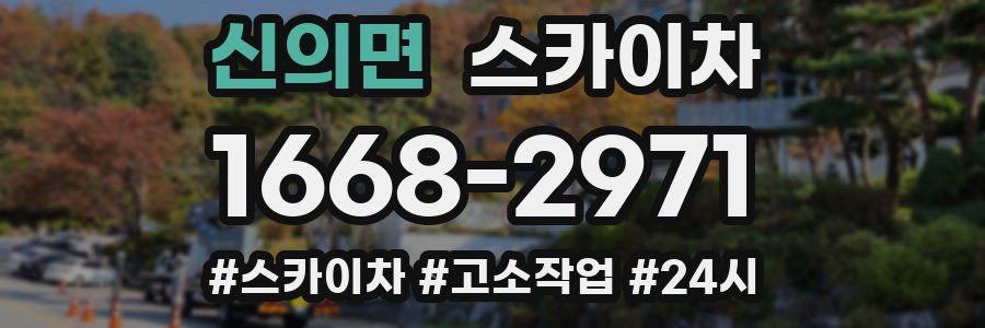 신의면 스카이차