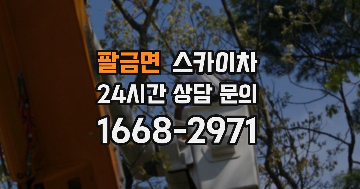 팔금면 스카이차