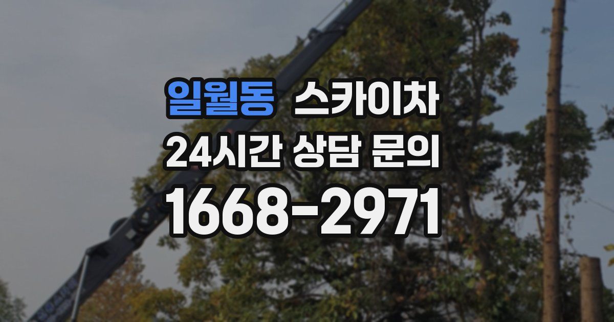 일월동 스카이차