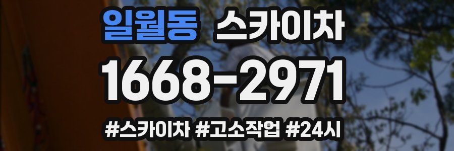 일월동 스카이차