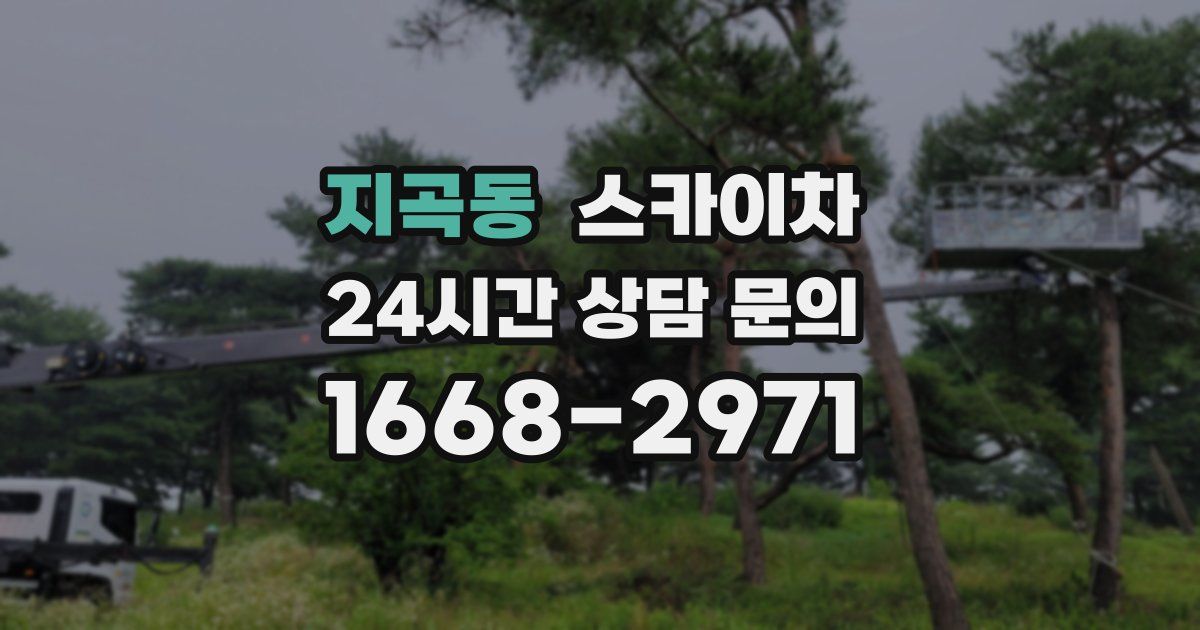 지곡동 스카이차