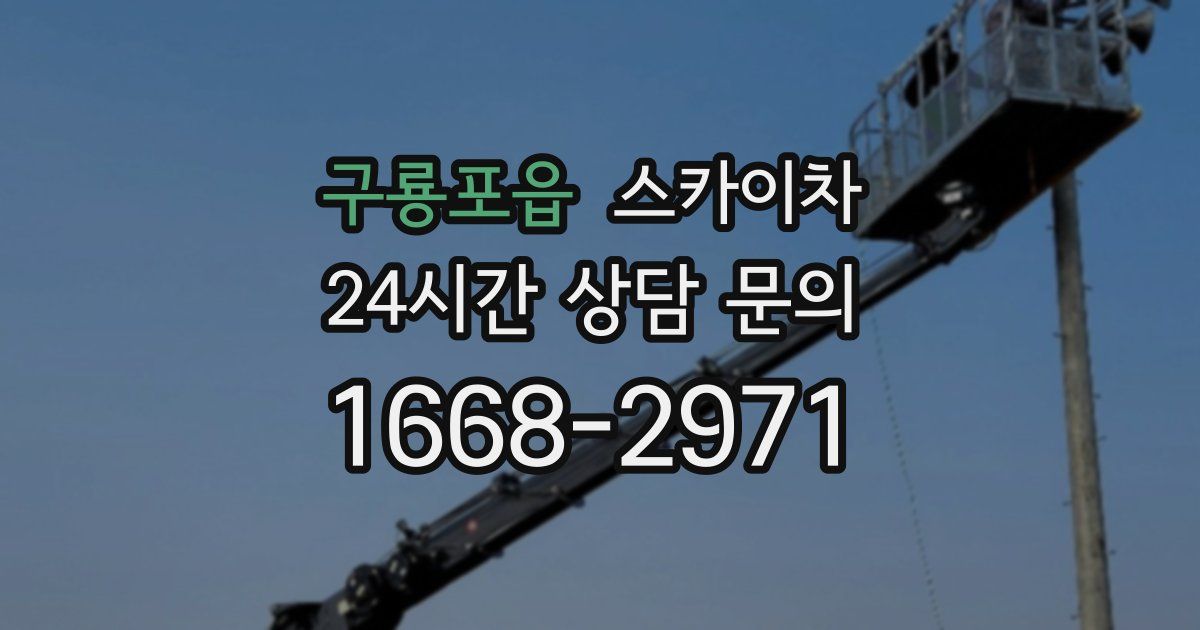 구룡포읍 스카이차