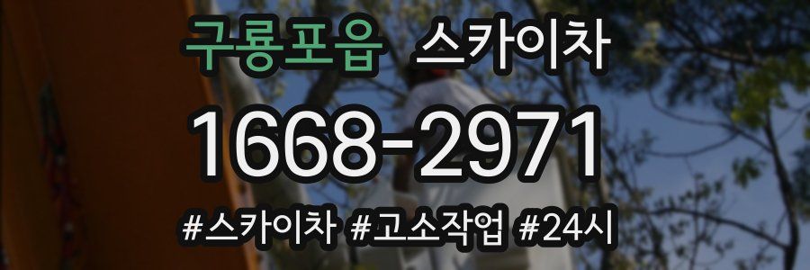 구룡포읍 스카이차