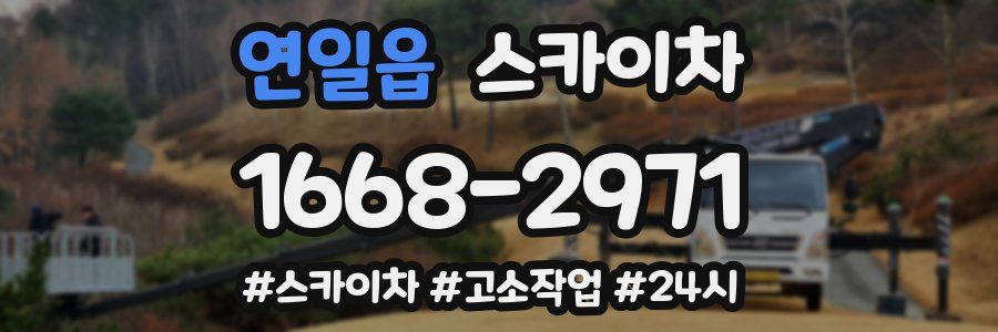 연일읍 스카이차