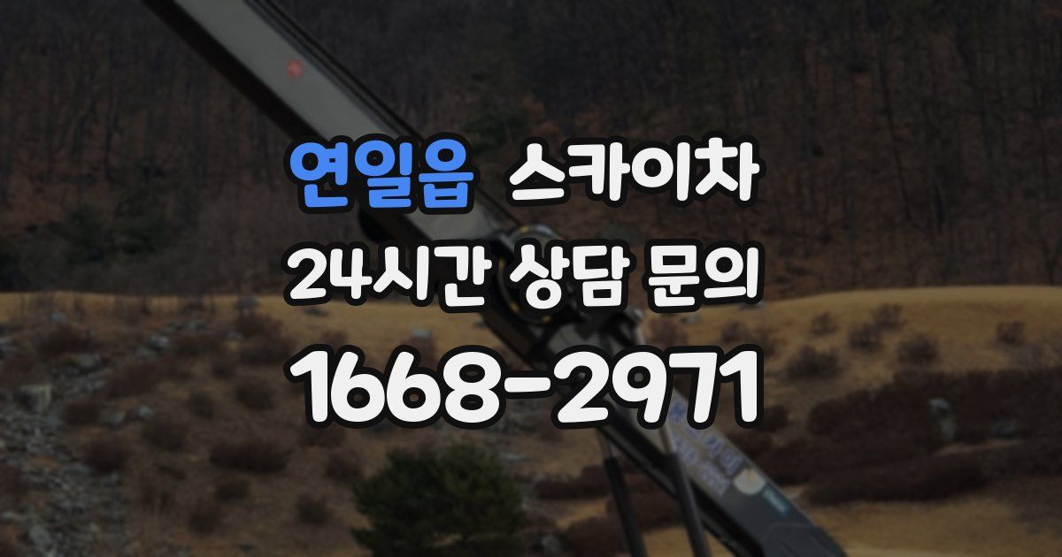 연일읍 스카이차