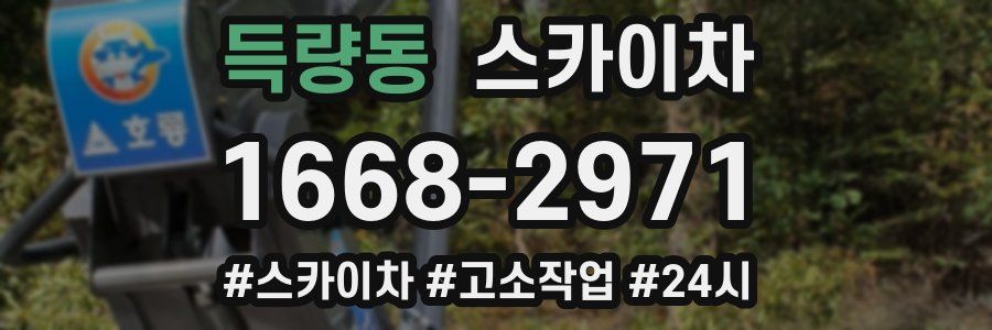 득량동 스카이차