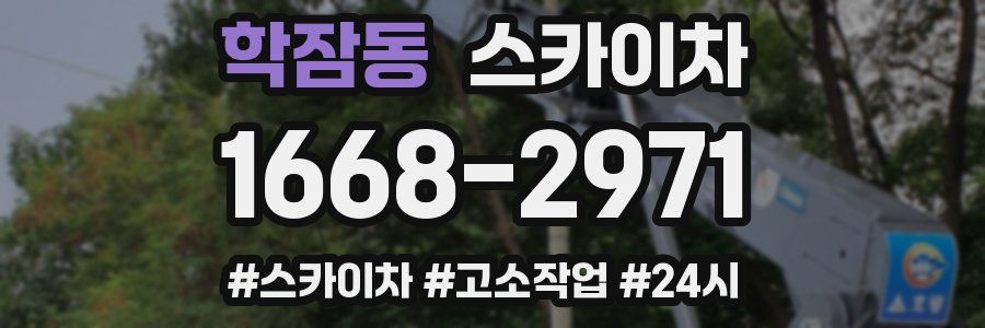 학잠동 스카이차