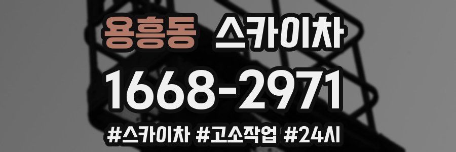 용흥동 스카이차