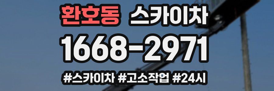 환호동 스카이차