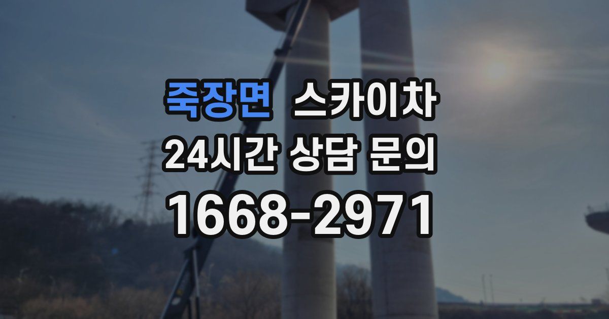 죽장면 스카이차