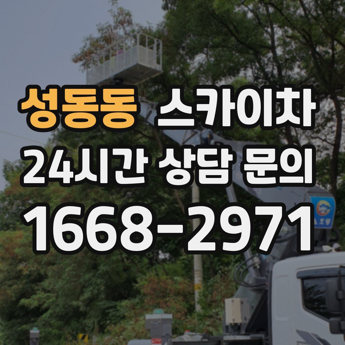 성동동 스카이차