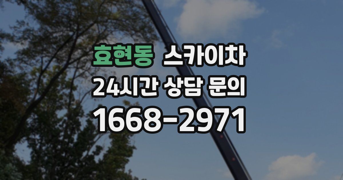 효현동 스카이차