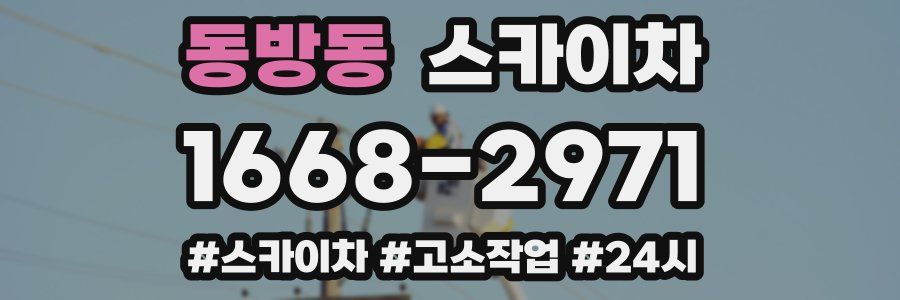 동방동 스카이차