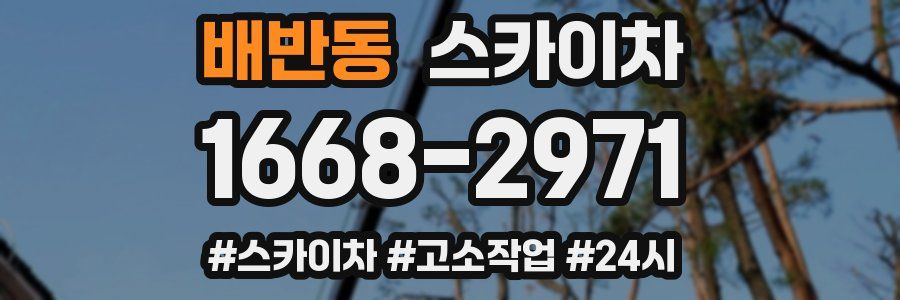 배반동 스카이차