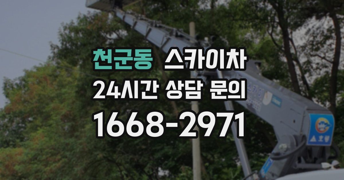 천군동 스카이차