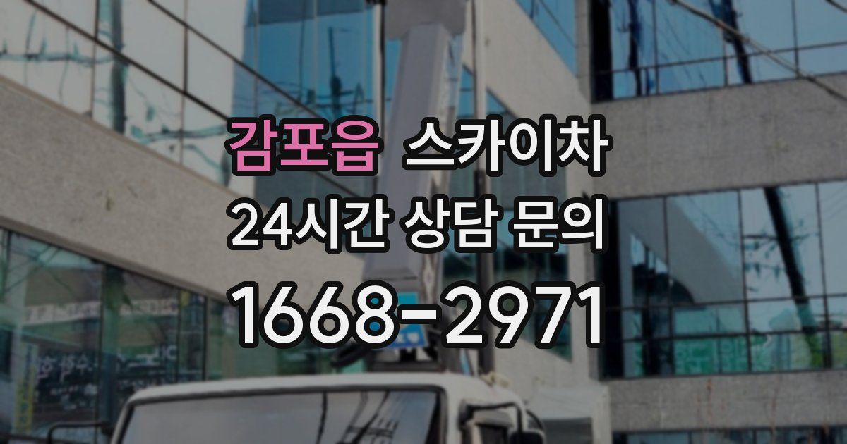 감포읍 스카이차