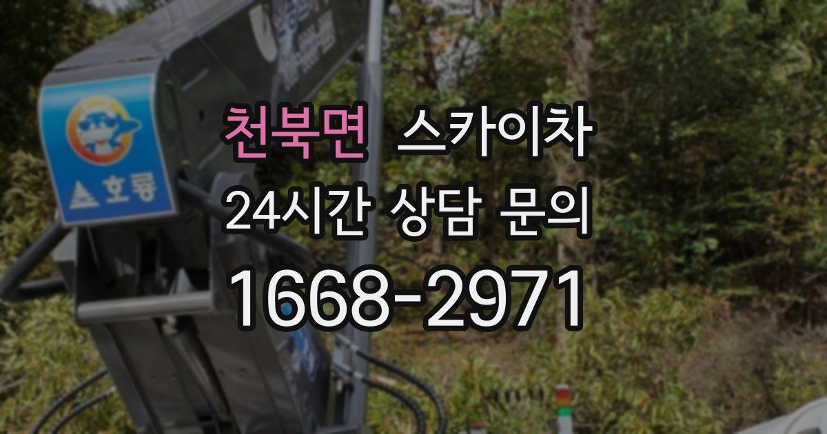 천북면 스카이차