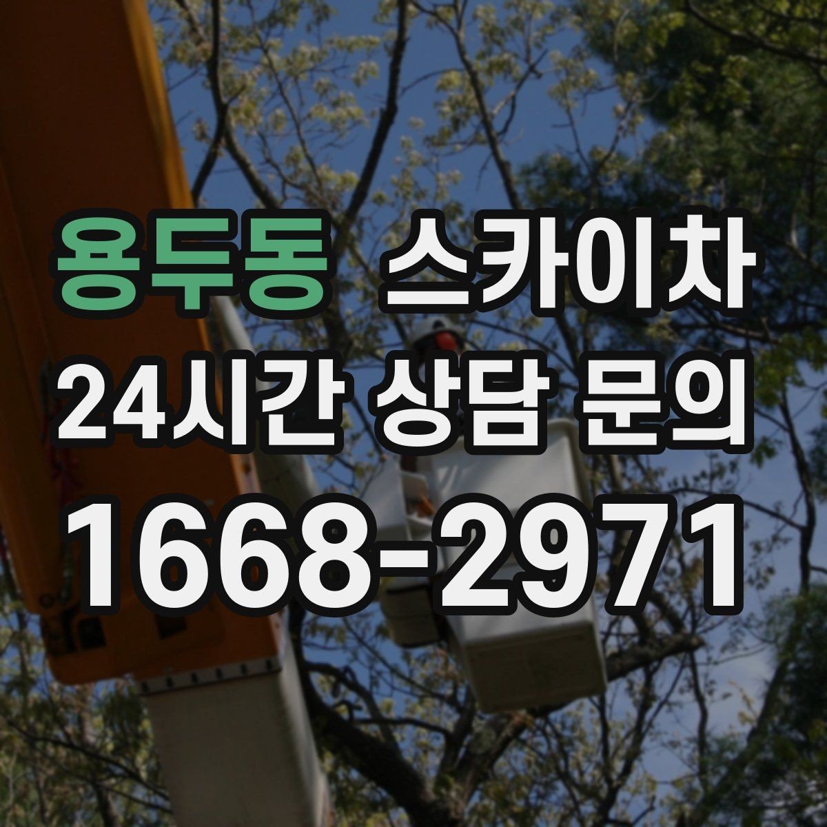용두동 스카이차 안전 장비와 작업 절차가 중요한 이유