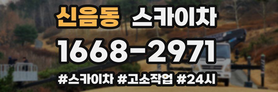 신음동 스카이차
