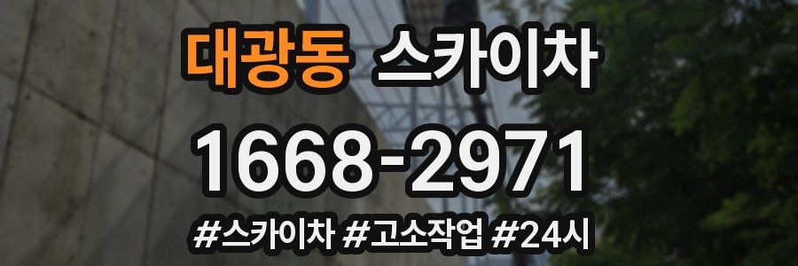 대광동 스카이차