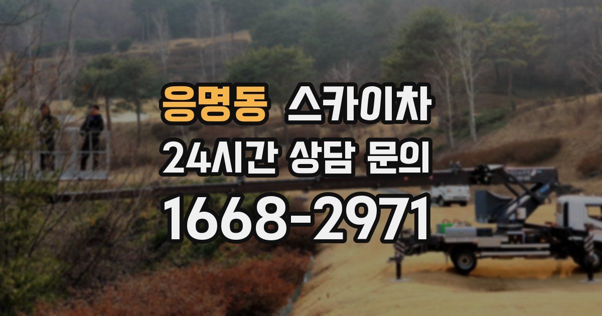 응명동 스카이차