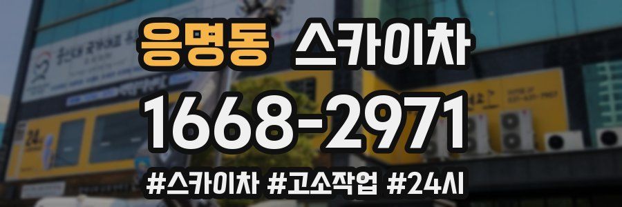 응명동 스카이차