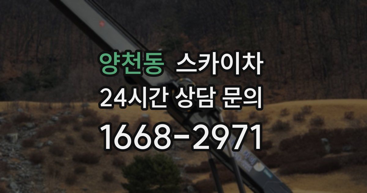 양천동 스카이차