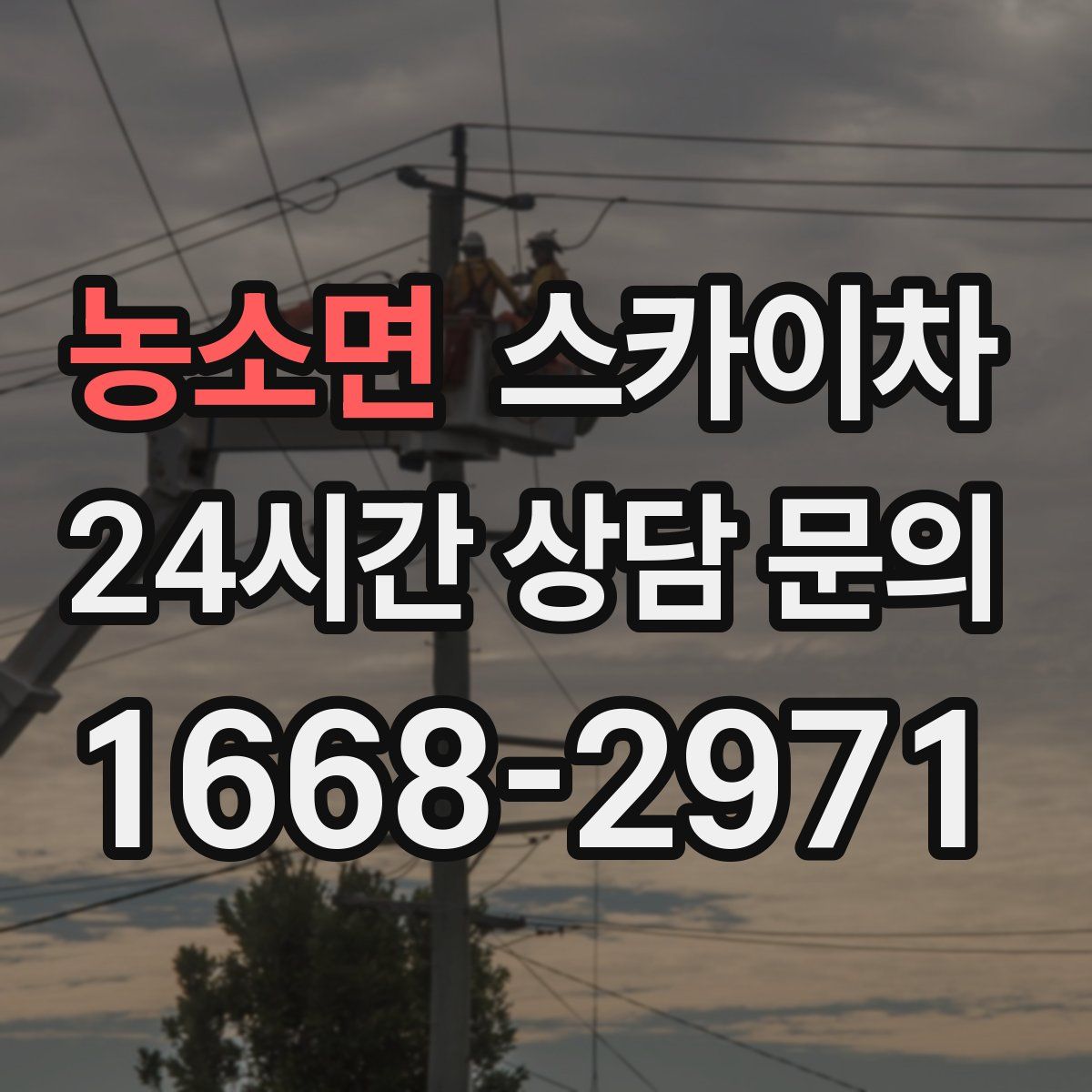 농소면 스카이차