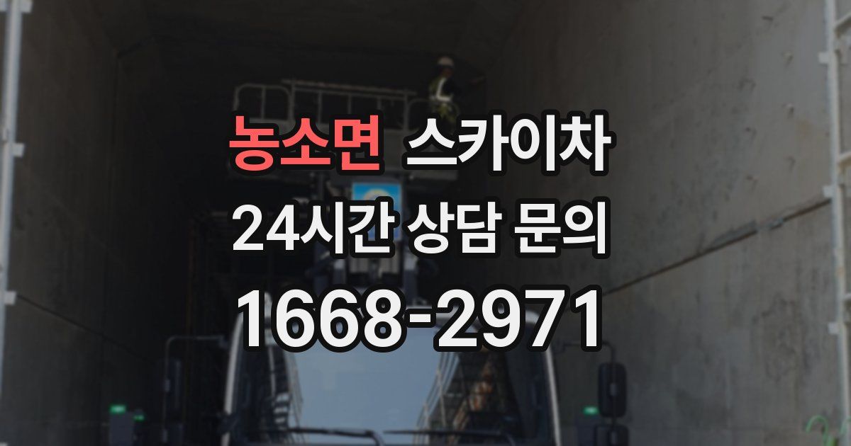 농소면 스카이차