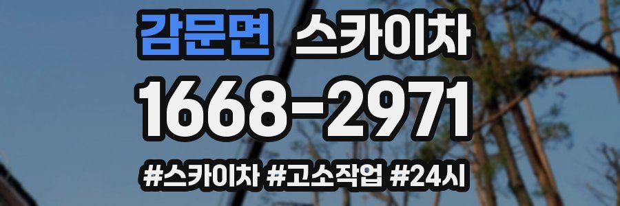 감문면 스카이차