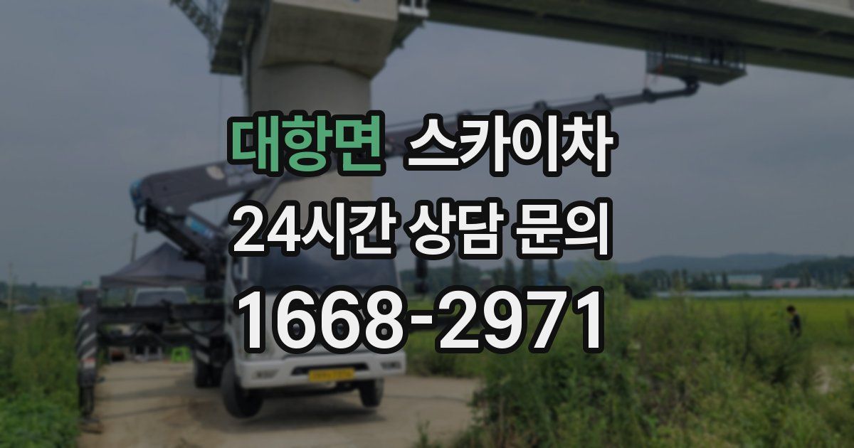 대항면 스카이차