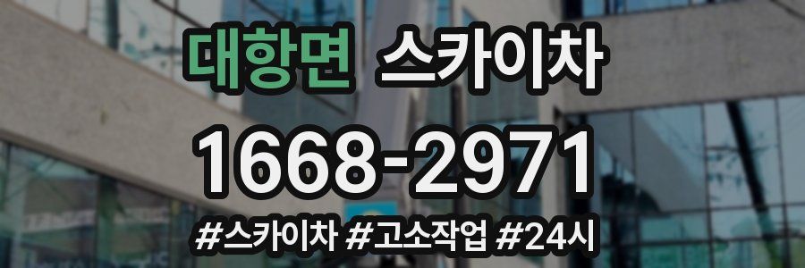 대항면 스카이차