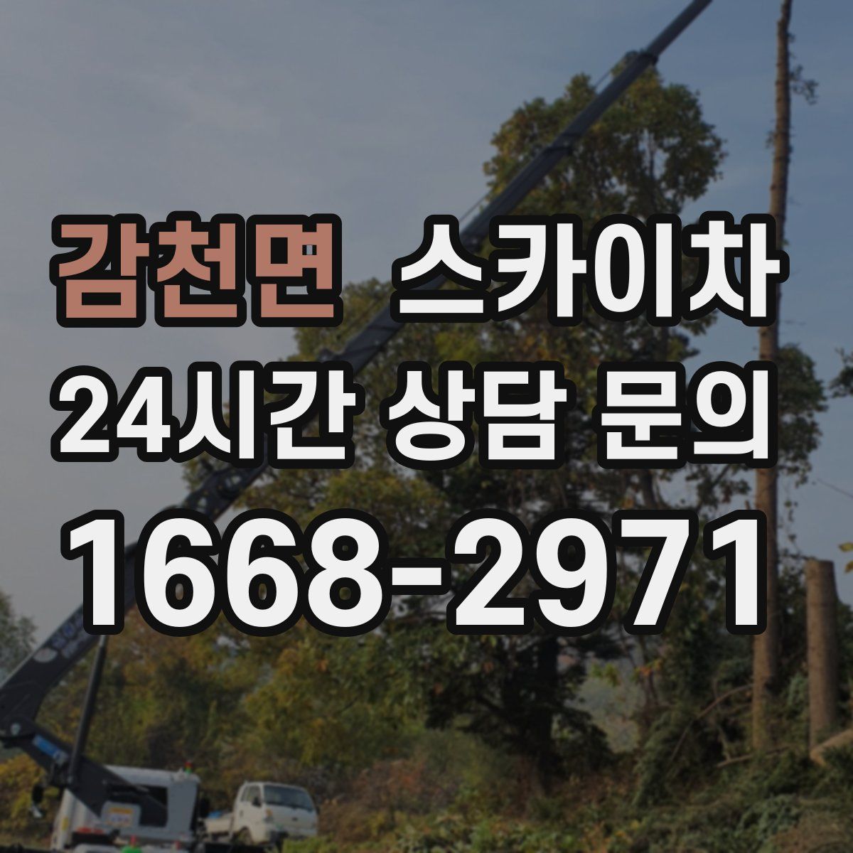 감천면 스카이차