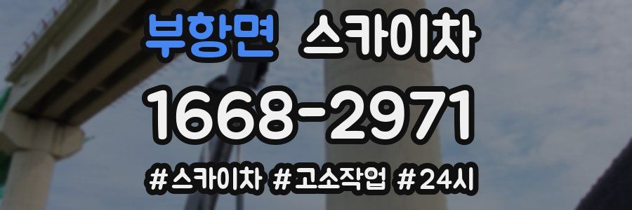 부항면 스카이차