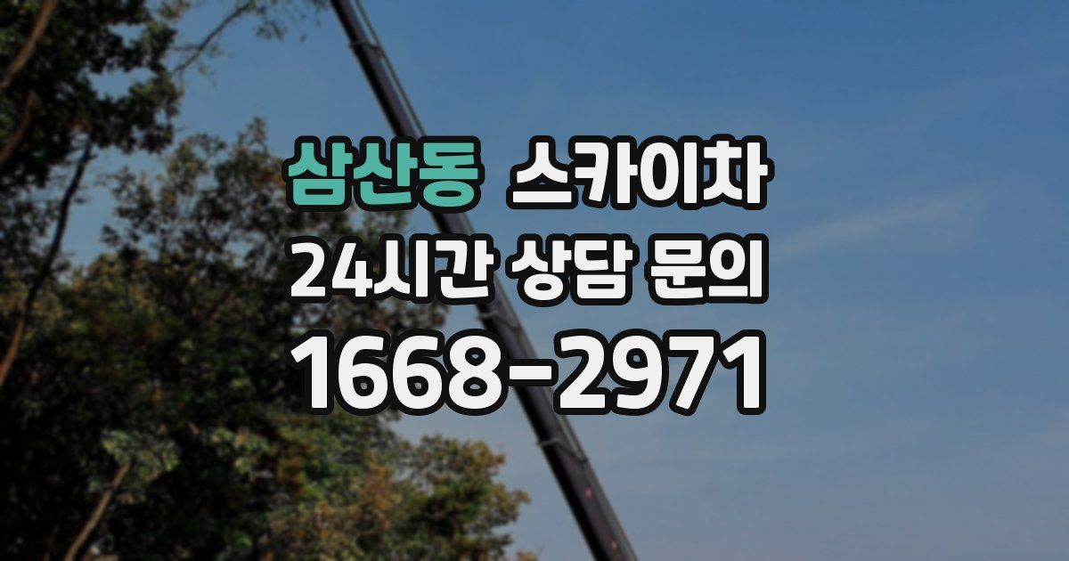 삼산동 스카이차