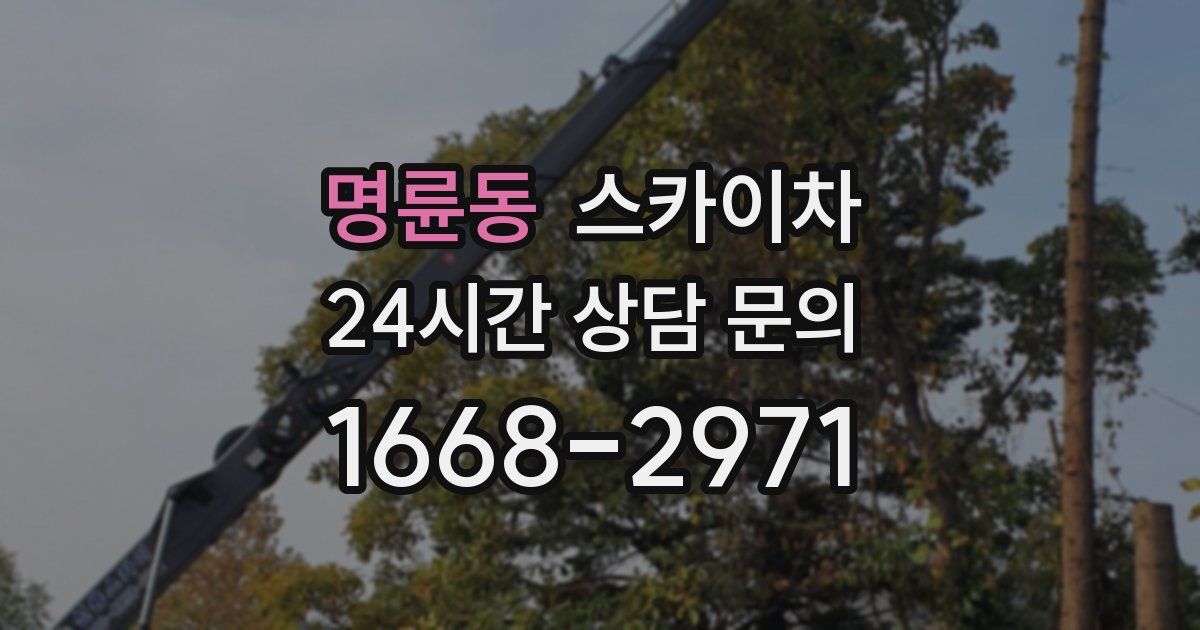 명륜동 스카이차