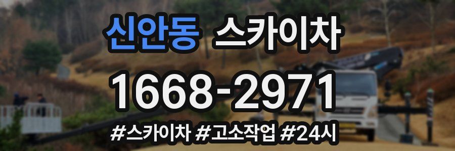 신안동 스카이차