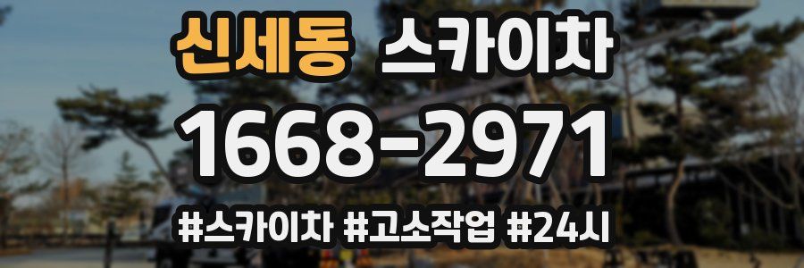 신세동 스카이차