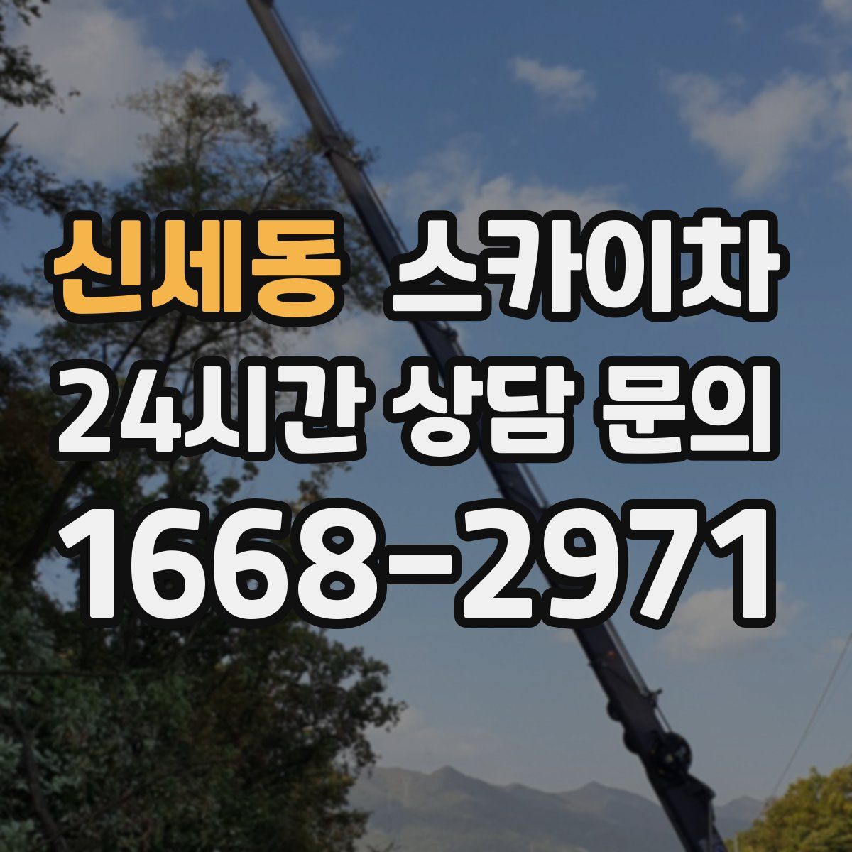 신세동 스카이차