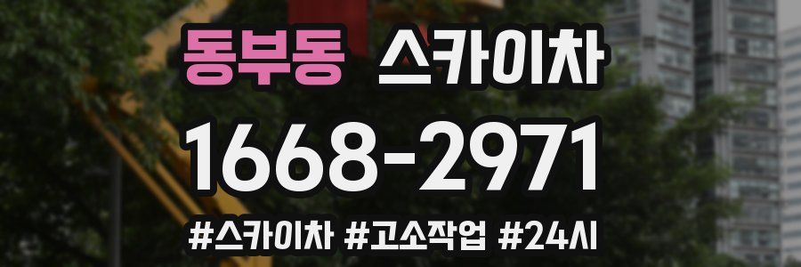 동부동 스카이차