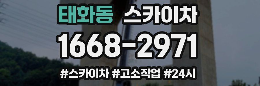 태화동 스카이차