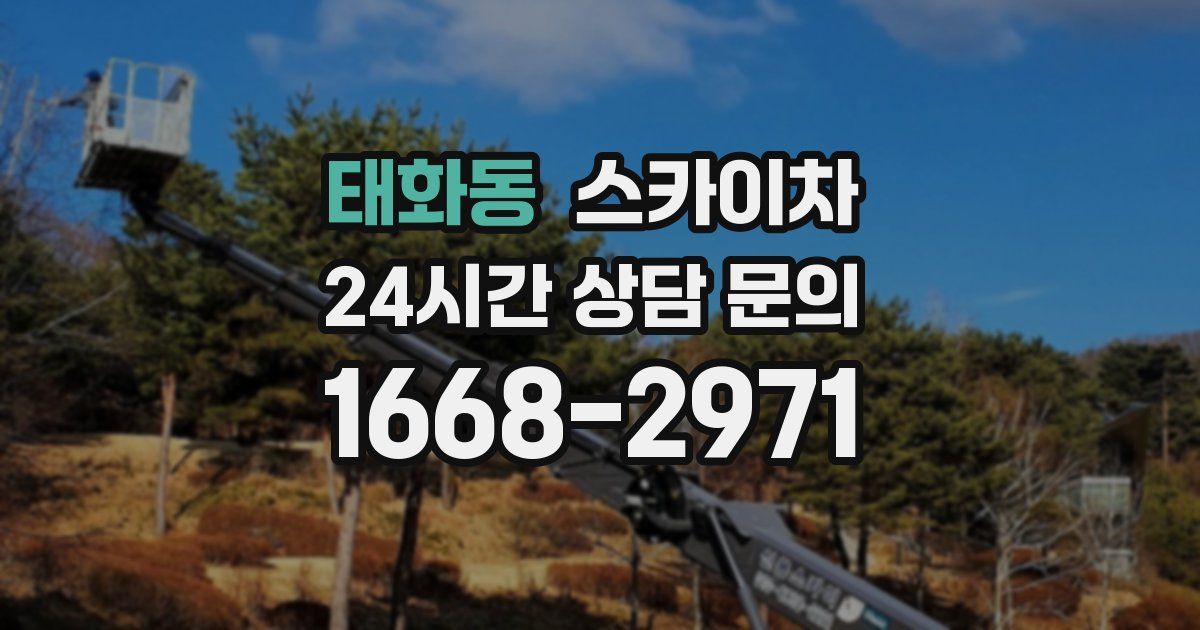 태화동 스카이차