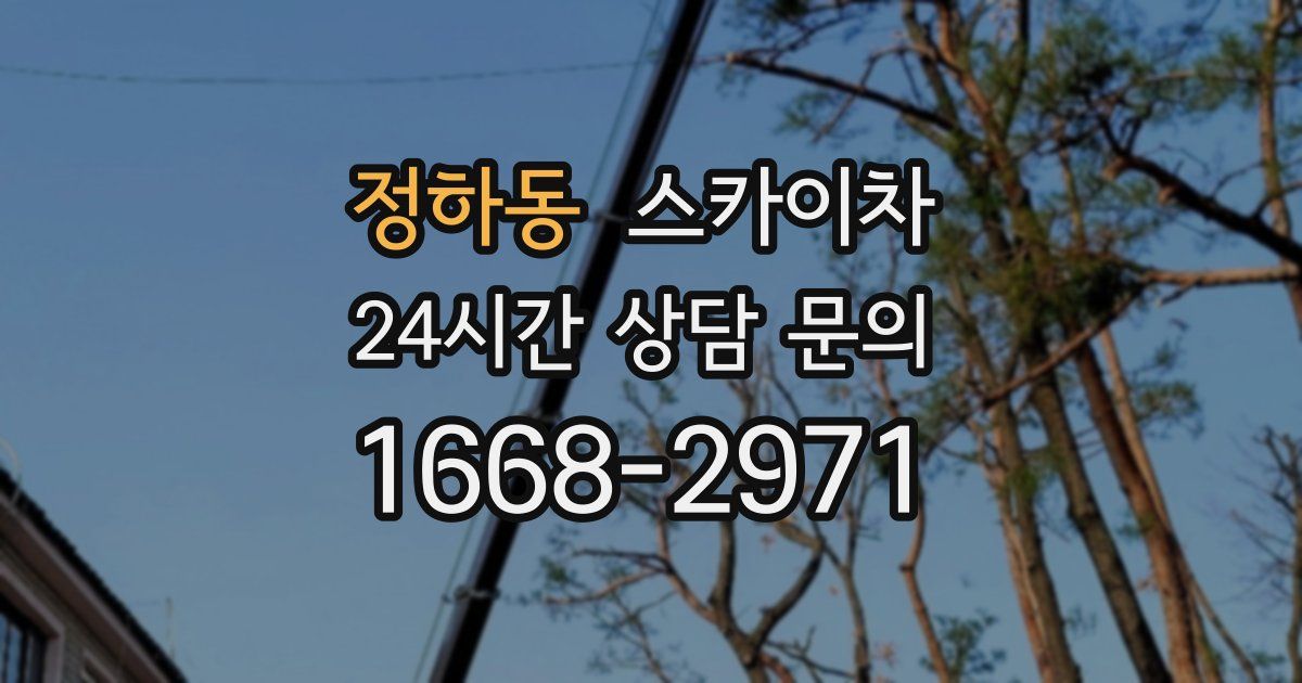 정하동 스카이차