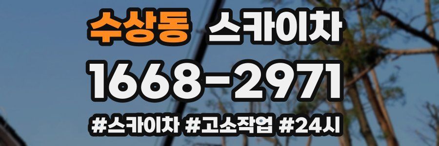 수상동 스카이차