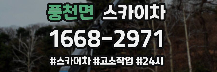 풍천면 스카이차