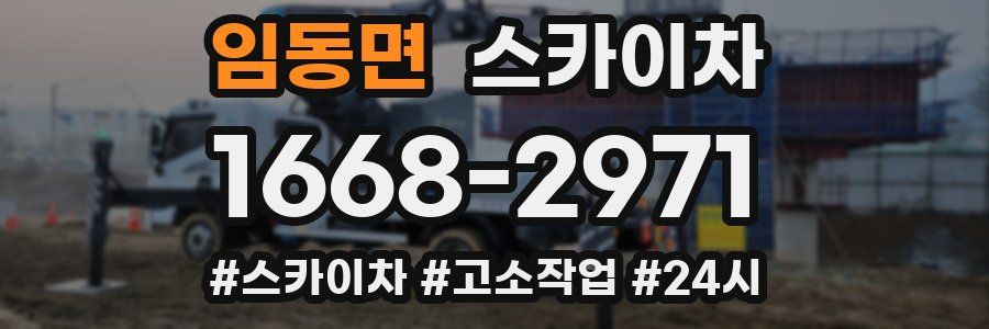 임동면 스카이차