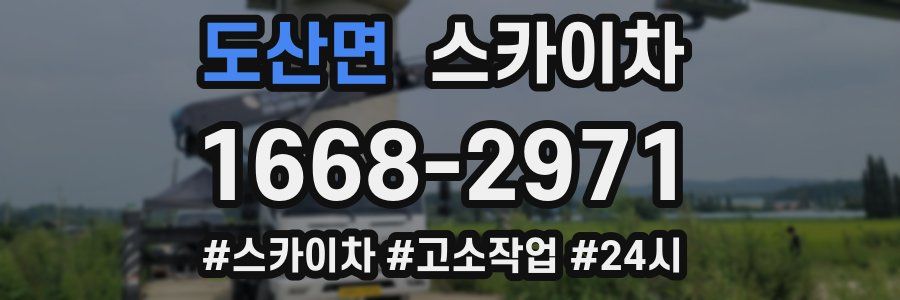 도산면 스카이차